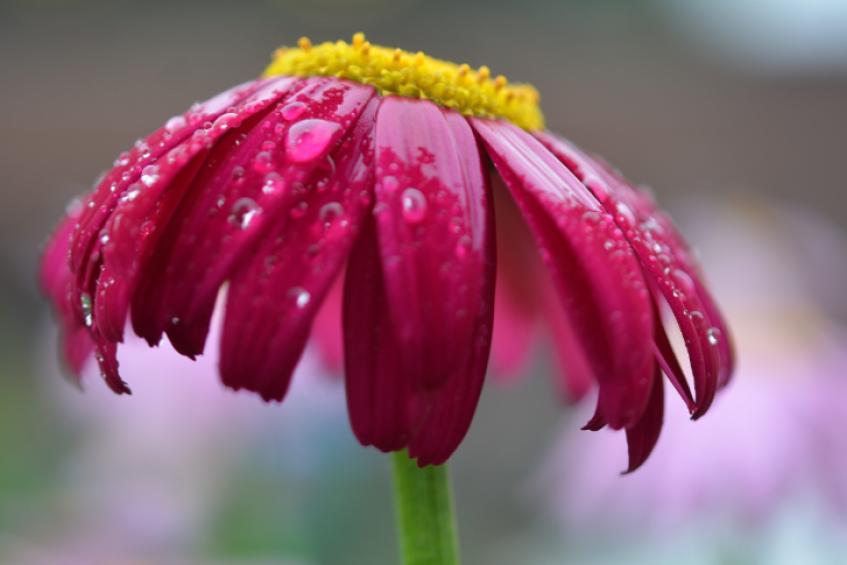 right-slider-image