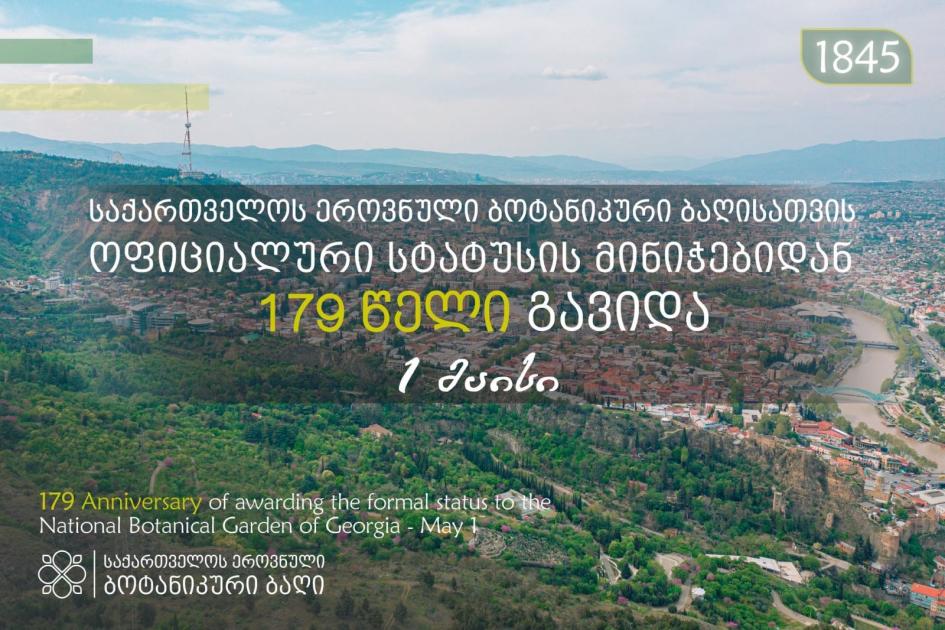 main-img