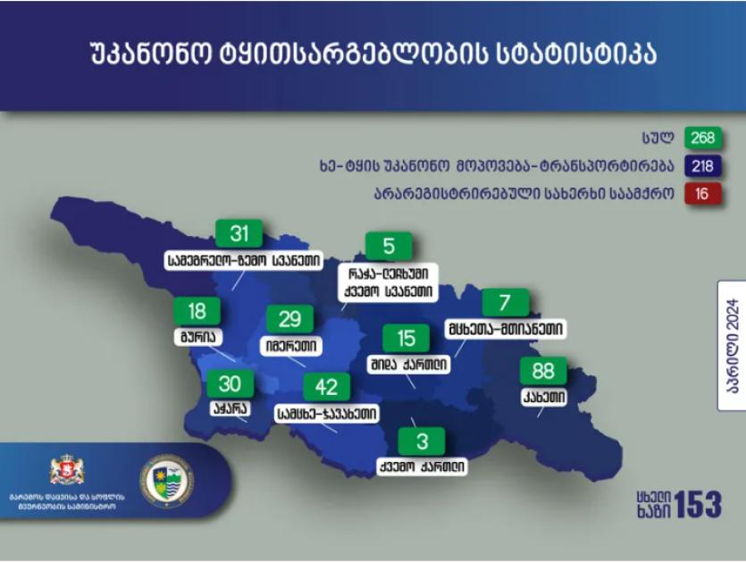 main-img