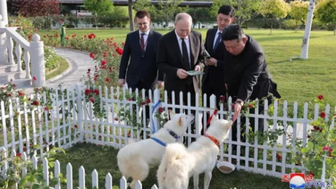 main-img