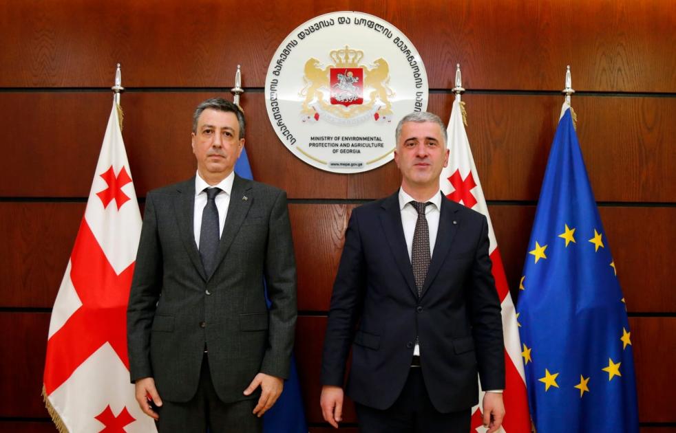 main-img